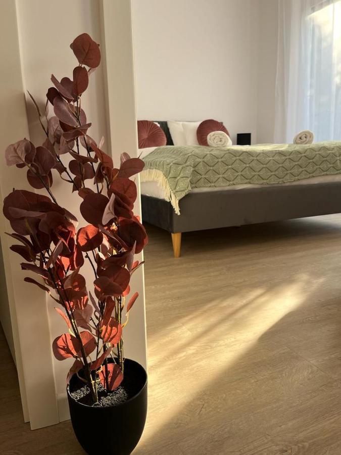 Mathias Premium Apartments Сегед Екстериор снимка